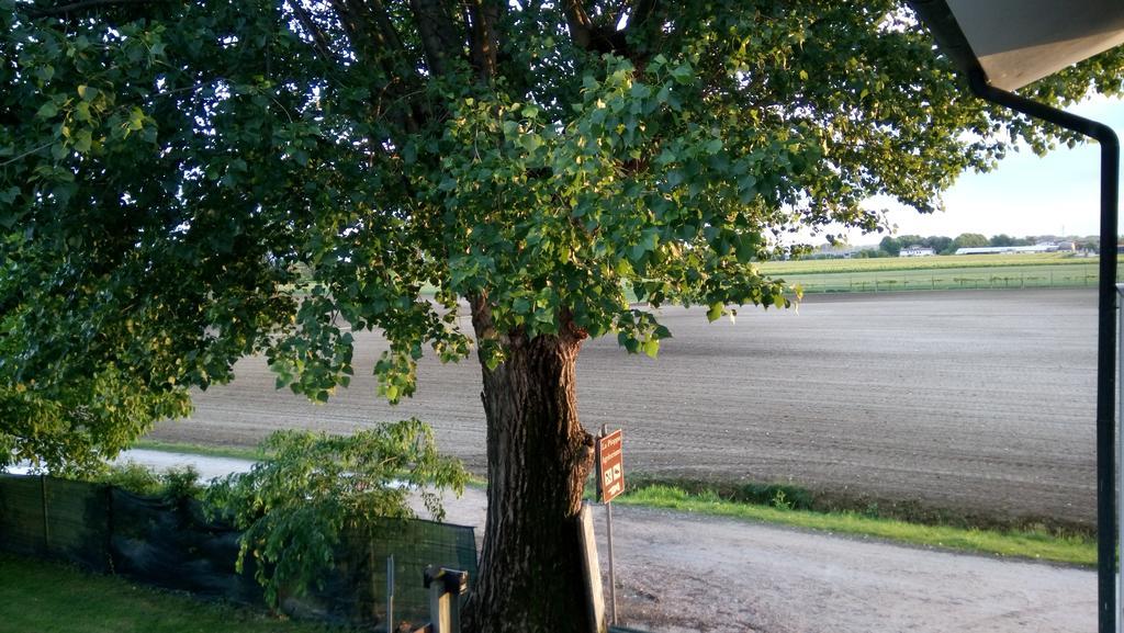 Farm stay La Pioppa Agriturismo Sacile
